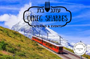 Oineg Schabbes
