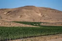 Nana