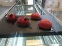 The Choco Shoppe