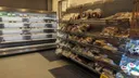 Daniel's Bagel Bakery