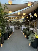 Shiloh's
