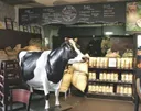 J.p. Licks