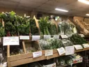 Shuk Ruth