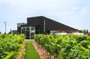 Tzafona (lakeview Wine Co.)