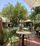 Haroeh Bacafe