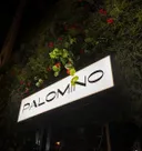 Palomino