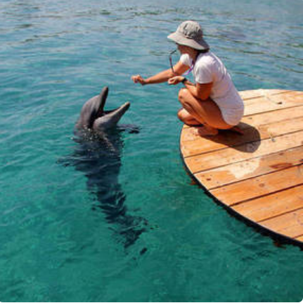 Kosher Eilat
